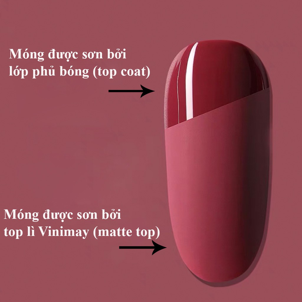 Top Lì Vinimay , Matte Top chính hãng chuyên dụng cho ngành nail