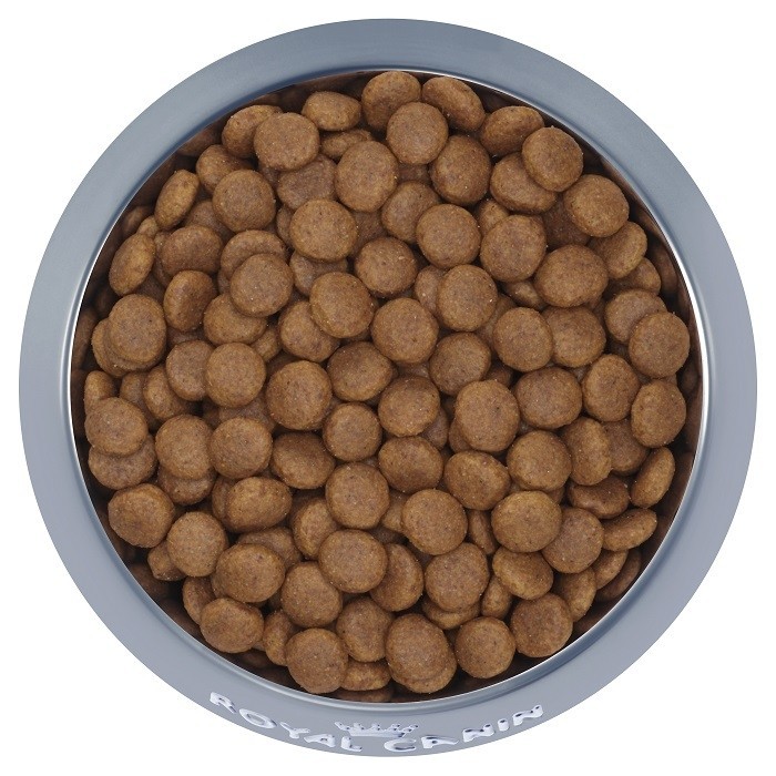 10kg,ROYAL CANIN MEDIUM ADULT Dành cho chó có  và đang trong lứa tuổi Puppy từ 12 tháng