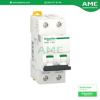 Cầu dao tự động mcb dòng cắt 6ka 2 pha 50a acti9 schneider_a9k24250