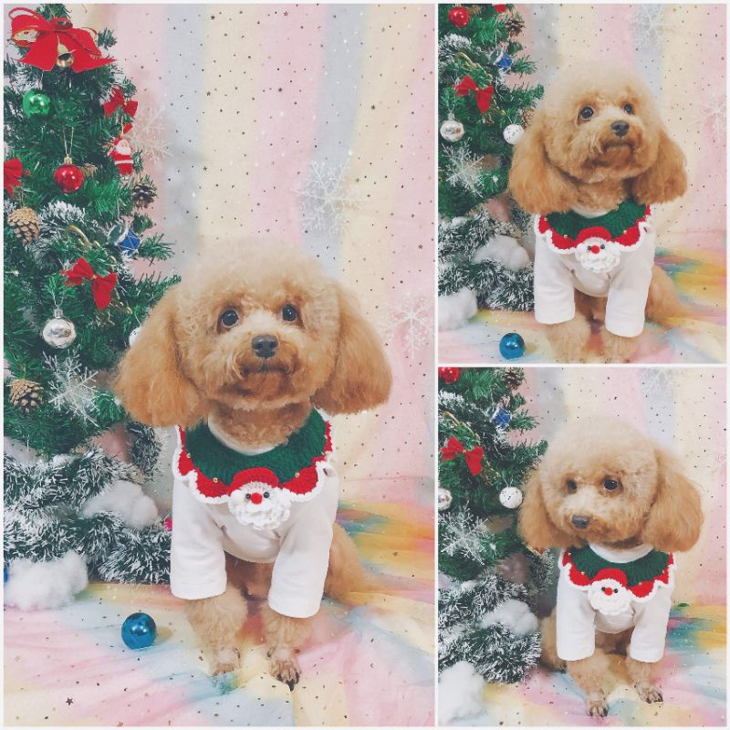 [order] yếm noel cho chó mèo