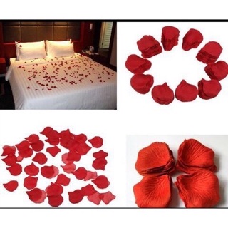 100 cánh hoa hồng vải lụa