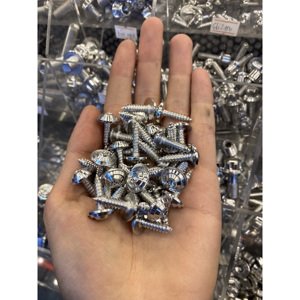 Ốc Salaya INOX304 size 4-5-6-8li xoắn - nhuyễn bắt dàn áo - đĩa