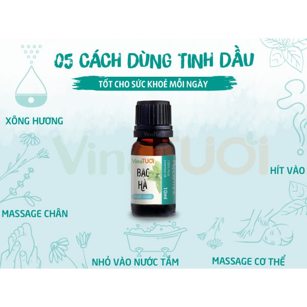 Tinh Dầu Bạc Hà Vina Tươi 10ml Thơm Phòng Đuổi Chuột Hiệu Qủa 💖𝙁𝙍𝙀𝙀𝙎𝙃𝙄𝙋💖 Tinh dầu bạc hà Nguyên Chất 100% từ Thiên nhiên