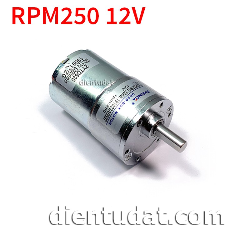Motor 12V - RPM250 (GB520)