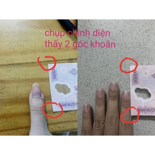 Nailbox - Keo dán móng mxbon x5 chai