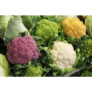 #Hạt_Giống Súp Lơ Mix v( Mua 3 gói tặng 1 gói )