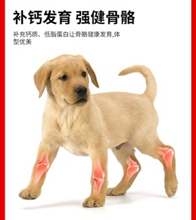 ❤ PHÔMAI SỮA CANXi  cho chó mèo