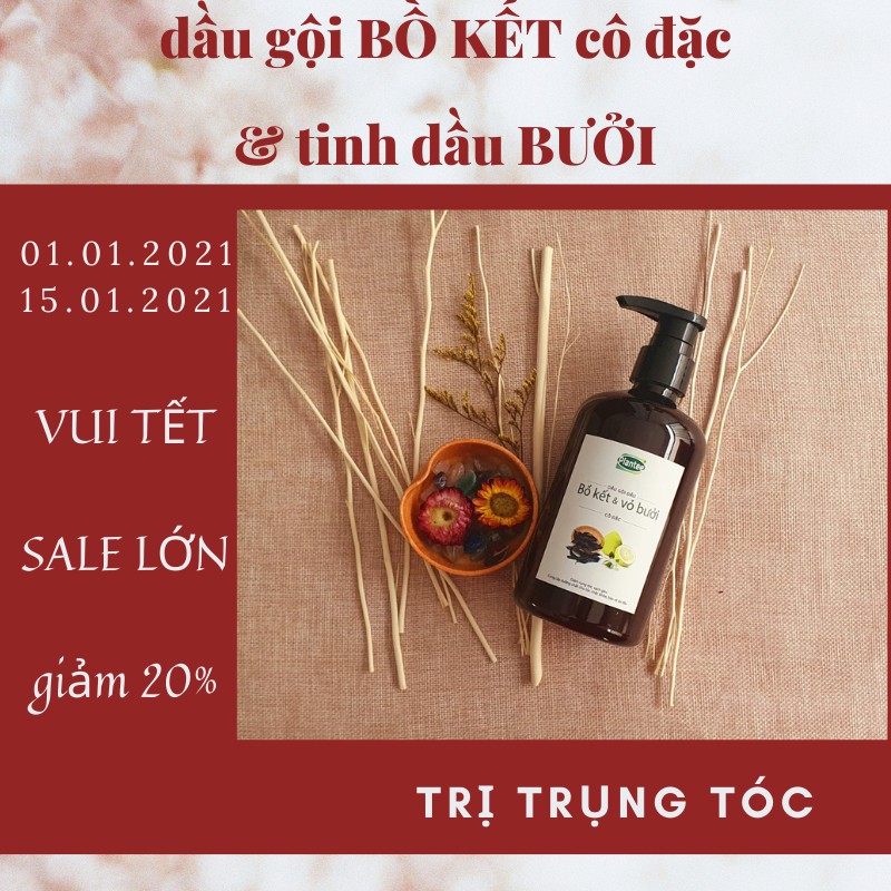 Dầu gội bồ kết & vỏ bưởi cô đặc 💖 FREESHIP từ 250k 💖 Giảm 10k khi nhập [DAUGOI10] Dầu gội trị rụng tóc & trị gàu