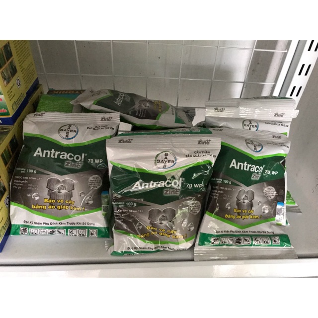 Antracol thuốc trị Nấm Bệnh