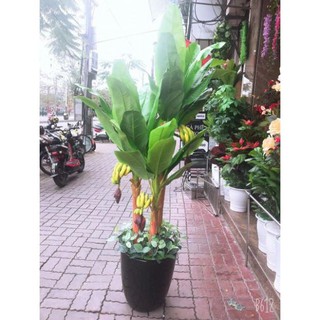 Cây giả - Cây chuối quê cao 1,6met