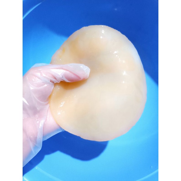 Giấm Nuôi + con Giấm