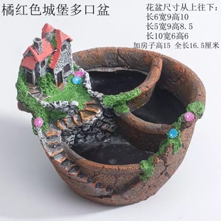 Chậu cây cảnh độc đáo