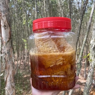 Mật ong rừng tràm u minh cà mau 1lit