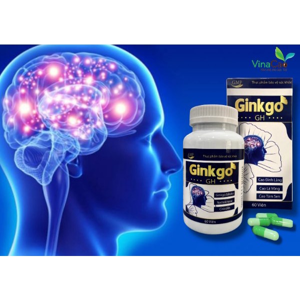 Viên bổ não Ginkgo GH chiết xuất Ginkgo Biloba - Hoạt huyết dưỡng não, tăng cường tuần hoàn não, tăng trí lực