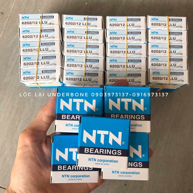 BẠC ĐẠN NTN 6202/12 , LƯNG 35 , LỖ 12