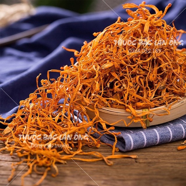 Đông trùng hạ thảo sấy thượng hạng 100g