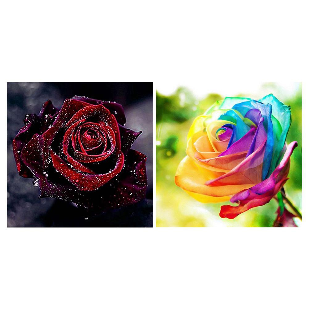 Tranh đính đá in hình hoa hồng độc đáo tự hoàn thành tại nhà có thể lựa chọn màu sắc