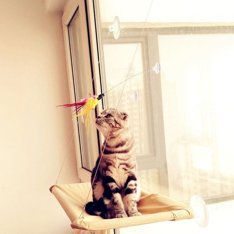✿ Gậy Gắn Lông Vũ Đồ Chơi Tương Tác Với Mèo