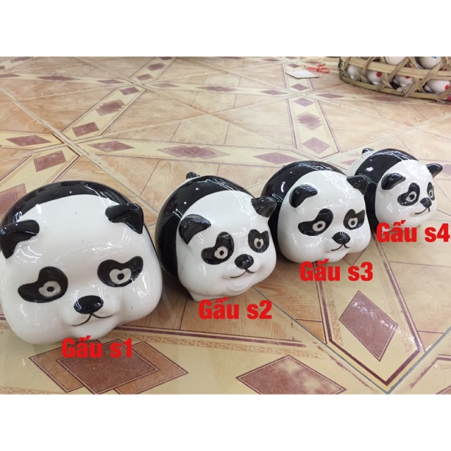 lợn tiết kiệm gấu trúc