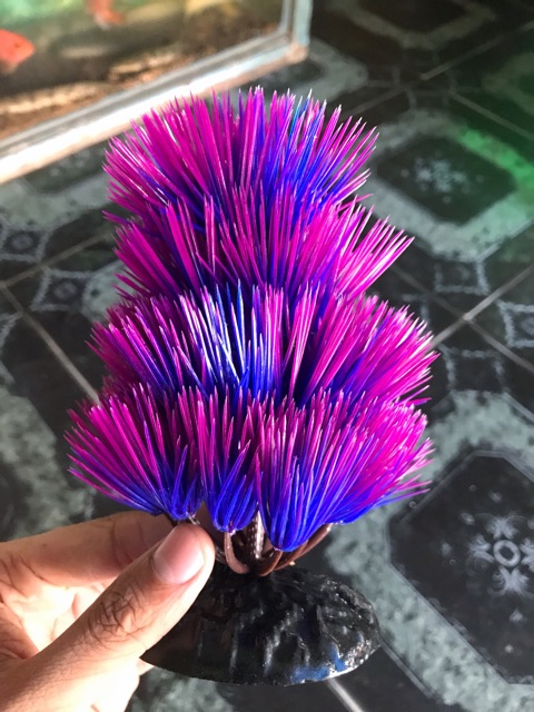 RONG TRANG TRÍ HỒ CÁ NON BỘ CAO 15CM DÀI 9CM