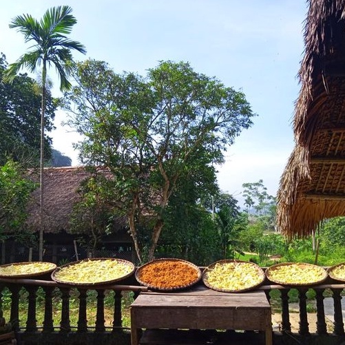 Măng rối khô Tây Bắc,  khô tây bắc xé sợi măng rối khô Tây Bắc gói 500gr