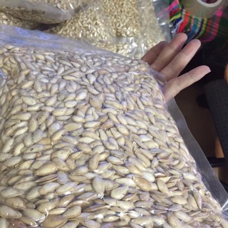 Hạt bí trắng