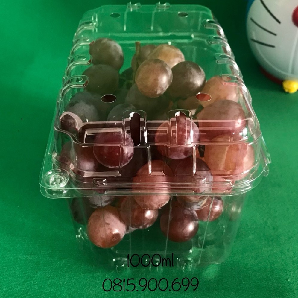 100 BỘ HỘP NHỰA ĐỰNG TRÁI CÂY (1000 gram) | BigBuy360 - bigbuy360.vn