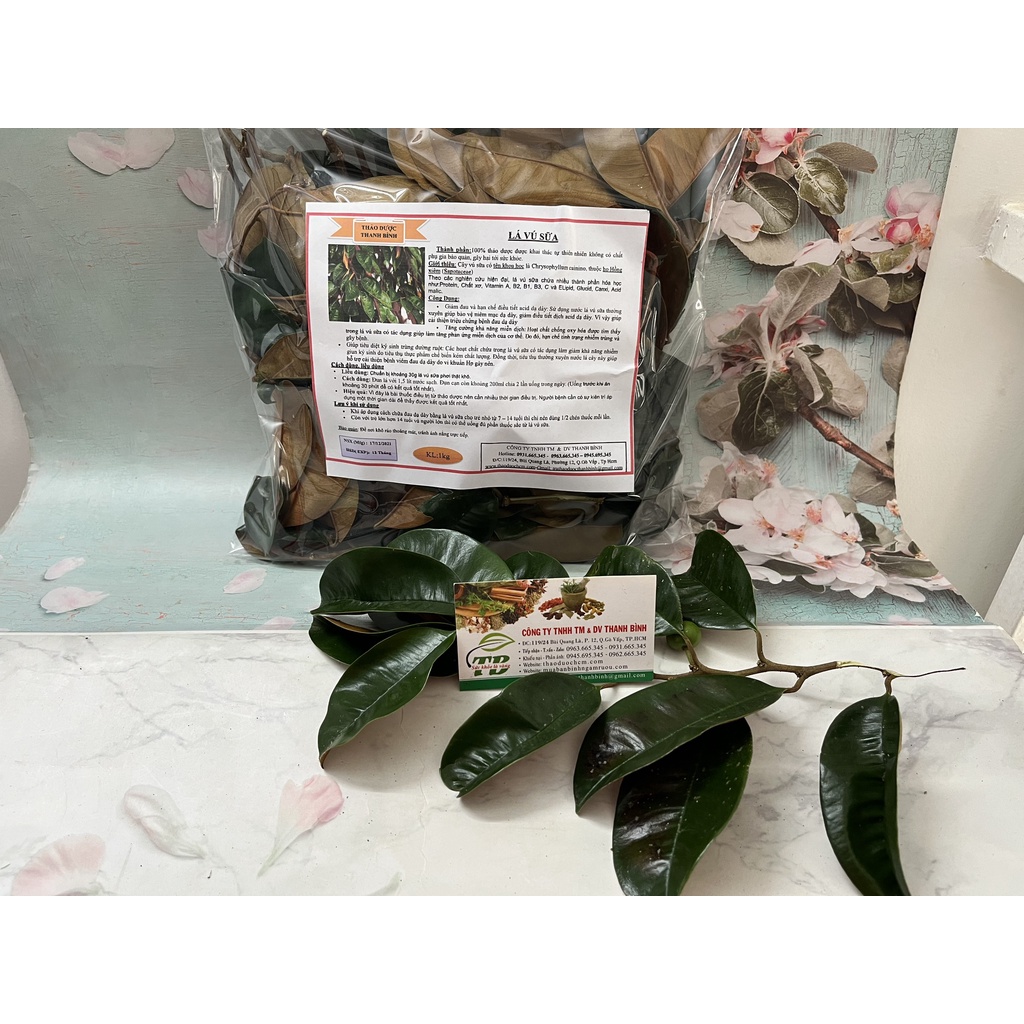 Lá Vú Sữa Tươi 500g - Thảo Dược Thanh Bình