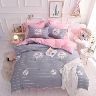 Bộ chăn ga gối cotton