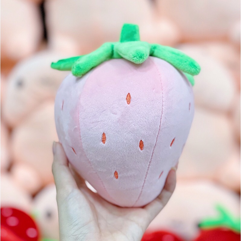 Dâu Tây hàng đẹp vải miso