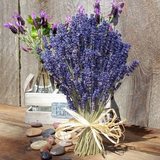 Túi 100 Hạt Giống Hoa Oải Hương Tím Lavender