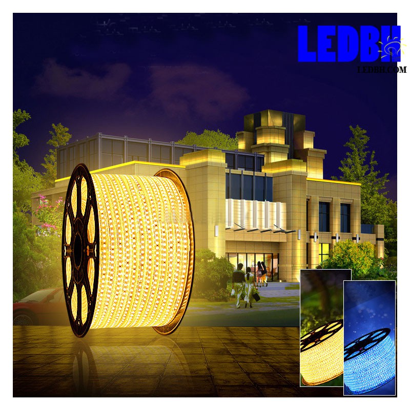 1m Đèn led dây 3014 Vàng nắng 220V cuộn 100m loại có 120 mắt led màu  – Home-3014-120D/M-WW