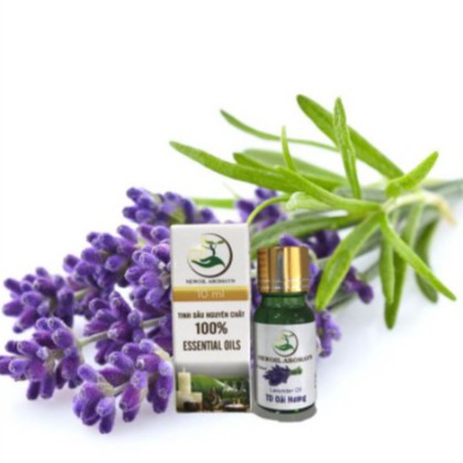 Tinh dầu oải hương Lavender tự nhiên nguyên chất 100% thiên nhiên (10ml-50ml)/ Tinh dầu viện Hàn Lâm