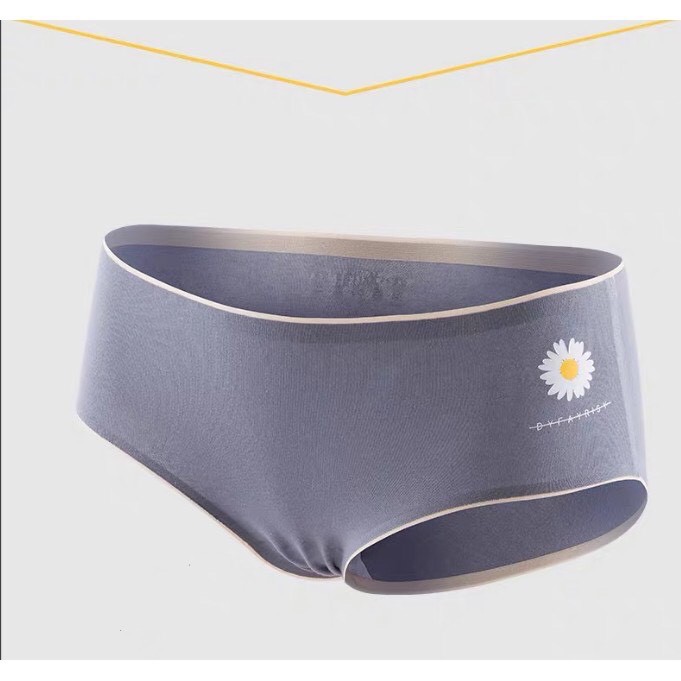 Quần Lót Cotton Không Đường May Hoa Cúc - Quần Lót Cotton Không Đường Viền Hoa Cúc | BigBuy360 - bigbuy360.vn