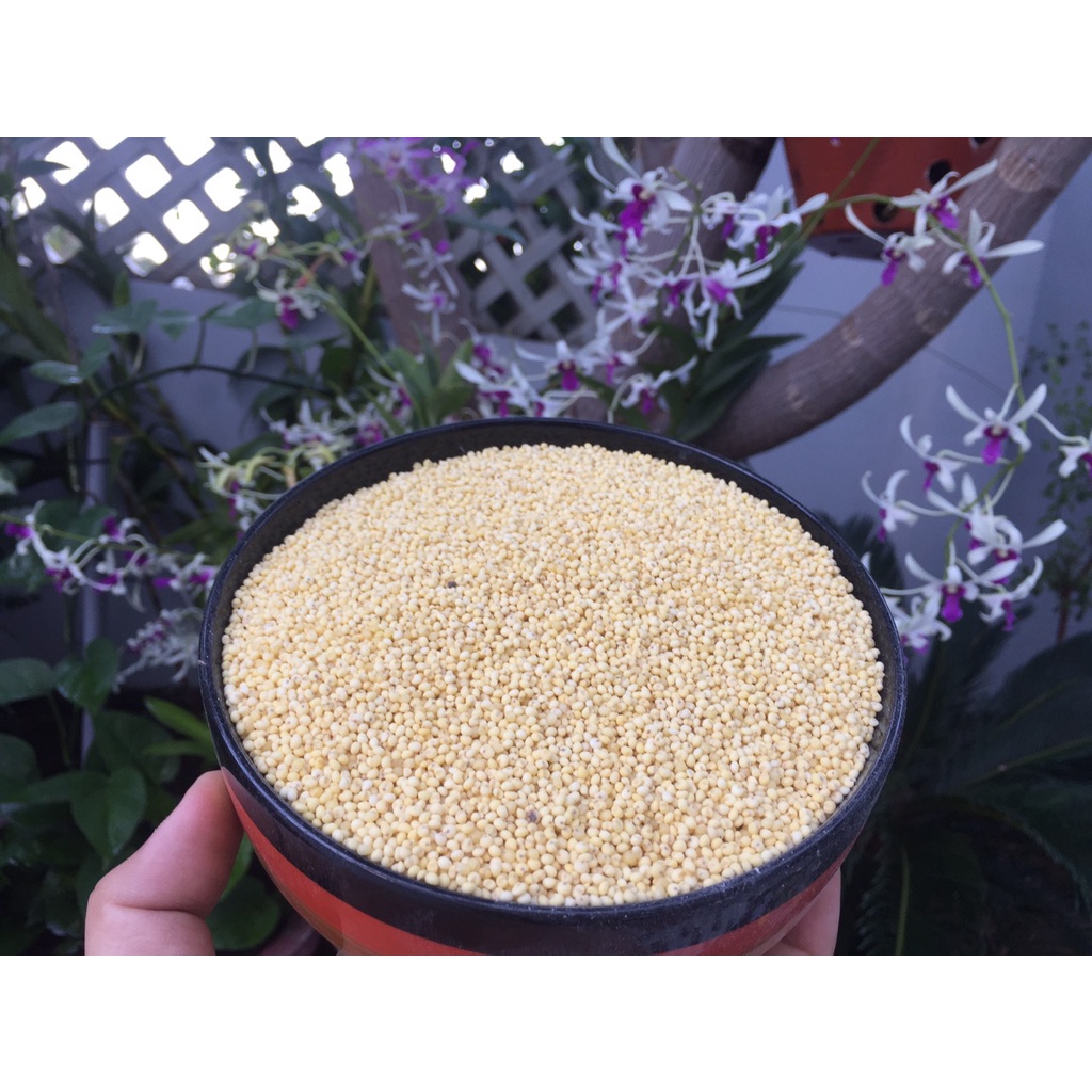 Kê nếp vàng tách vỏ bị 1kg dành cho chim