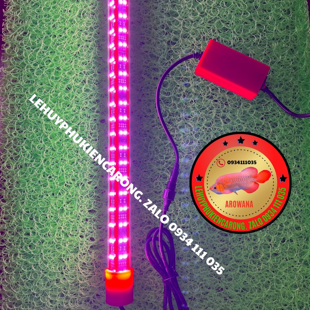 Đèn LED T10 HUYẾT LONG - BỐI VÀNG 4 Hàng Bóng - Sản Phẩm Mới -  Trải Nghiệm Thực Tế Rất Đẹp Kích Thước 92cm 112cm 142cm