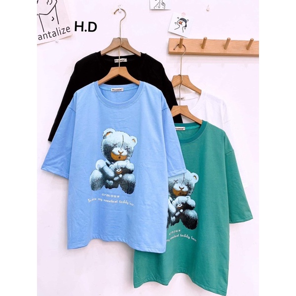 Áo phông gấu TEDDY BEAR HD11