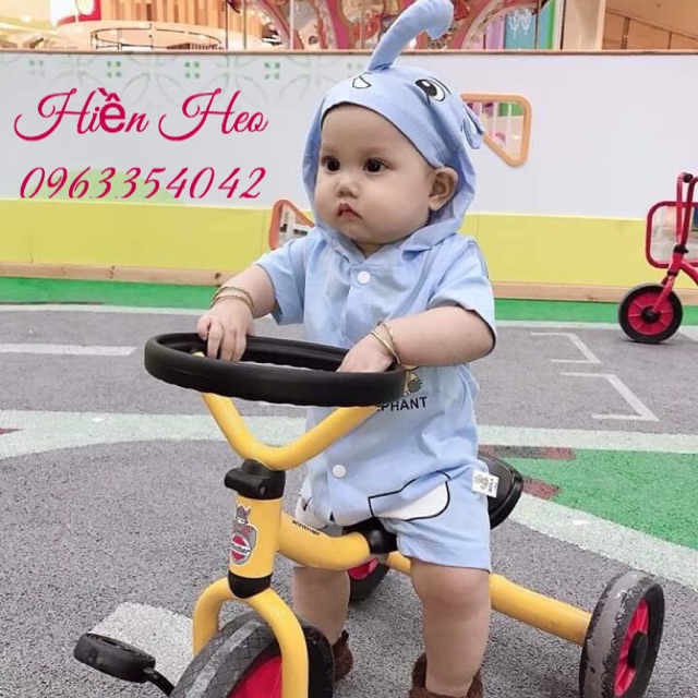 Body hình voi con