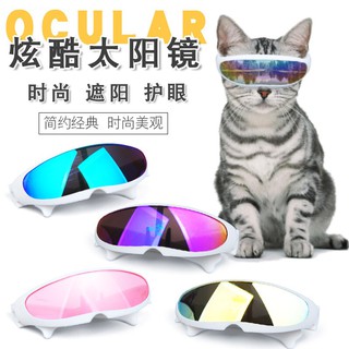 KÍNH THỜI TRANG GỌNG NHỰA DÀNH CHO CHÓ MÈO
