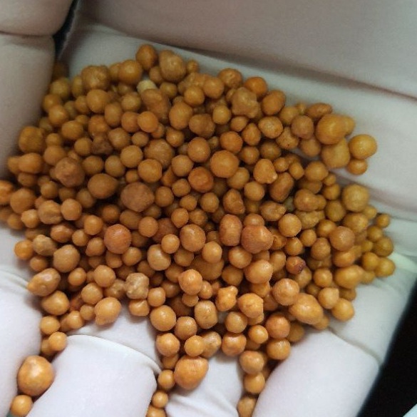 100g Phân tan chậm vàng Osmocote nhập khẩu Thái Lan 14-14-14
