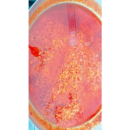 Sa tế ớt tươi 1kg