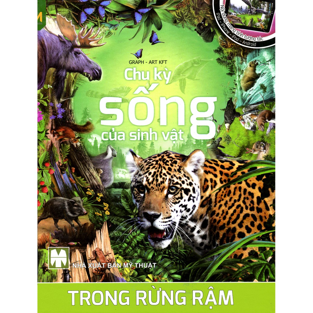 Sách - Chu kỳ sống của sinh vật - Trong rừng rậm