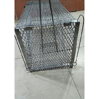 Bẫy lồng chuột, mèo, thú hoang
