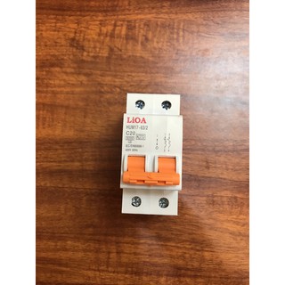 Cầu dao tự động (Aptomat) 2 cực 6A-40A