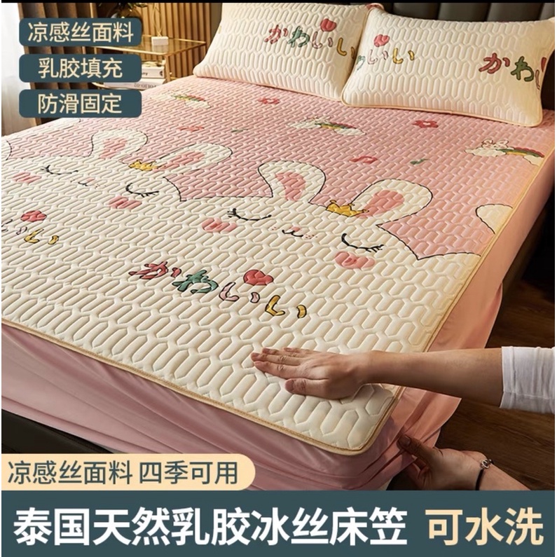 GA ĐIỀU HOÀ CAO SU NON BỌC CẢ ĐỆM [TẶNG KÈM 2 VỎ GỐI]