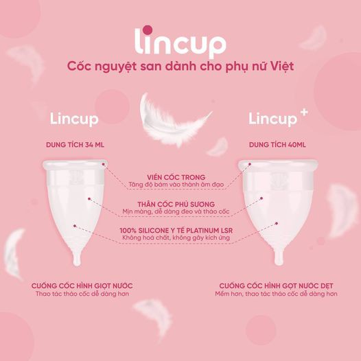 Combo Bộ Cốc Phụ Khoa Nguyệt San Lincup Chính Hãng Từ Mỹ