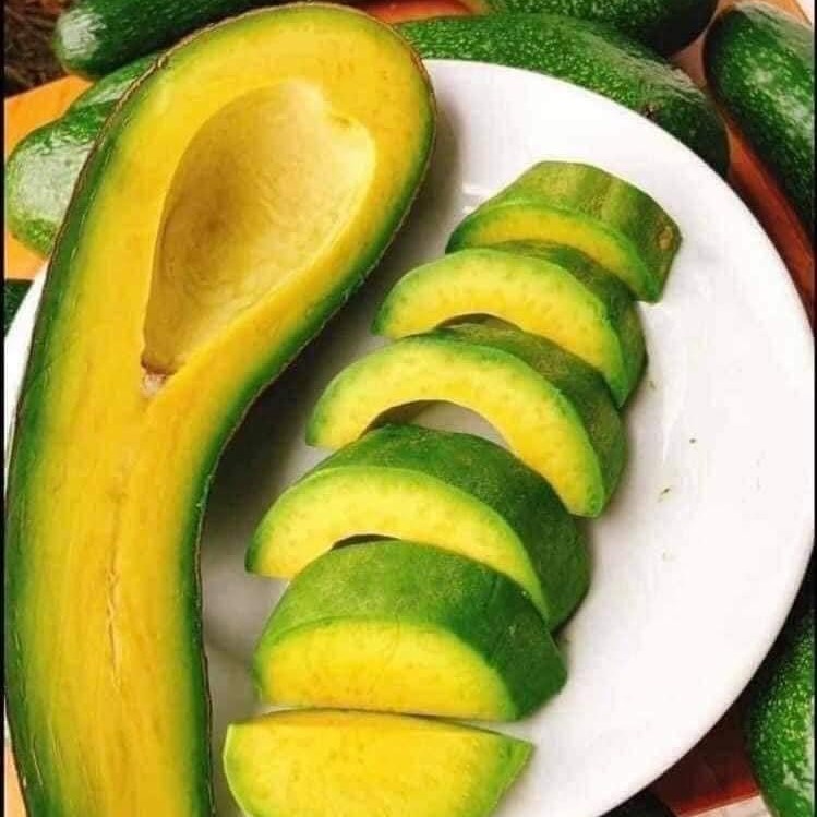 Bơ 034 Lâm Đồng- Bơ sáp - Bơ Booth nhà trồng- Hàng sẵn tại HCM- Giao hỏa tốc