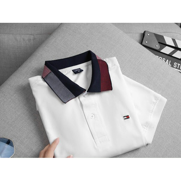 Áo thun polo nam thêu  TOM có cổ trụ bẻ dệt sọc, ngực thêu gấu trẻ trung, vải cá sấu cotton cao cấp