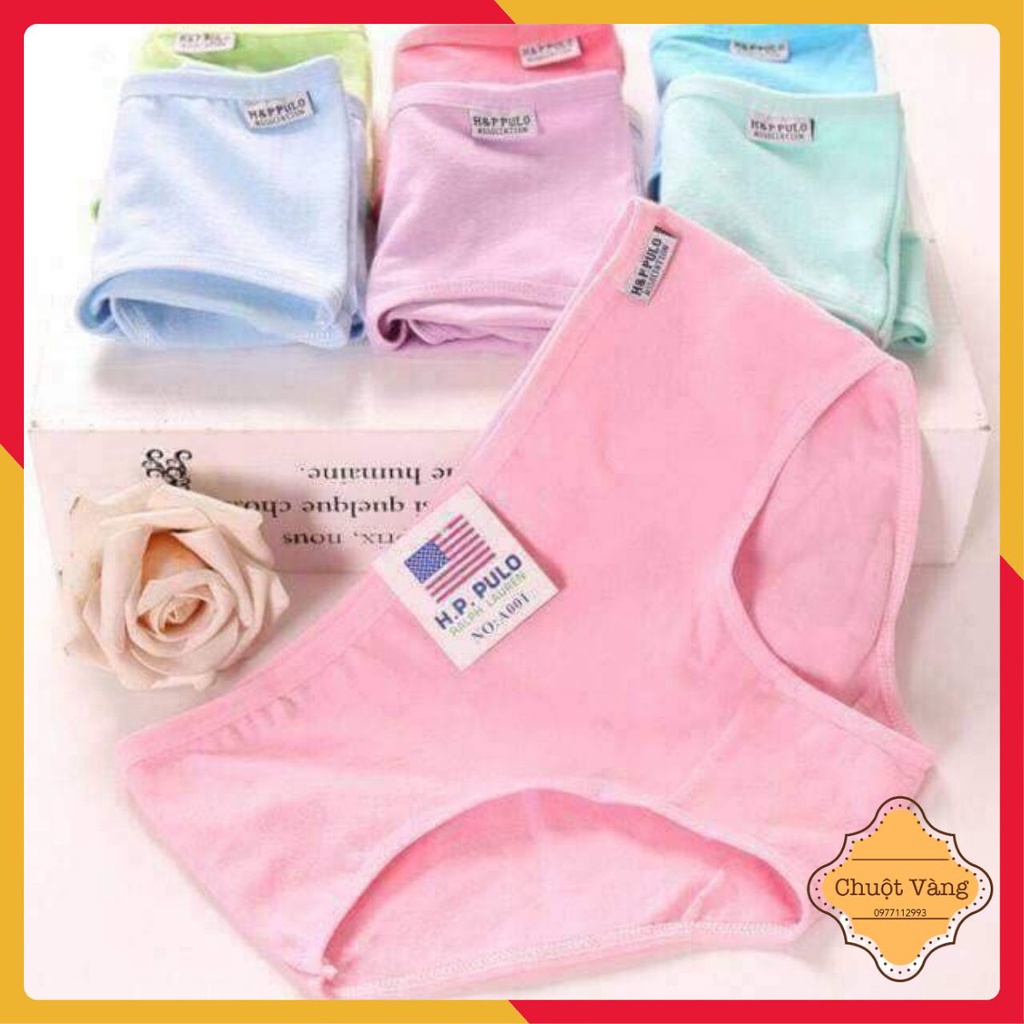 Quần lót cotton xuất Mỹ