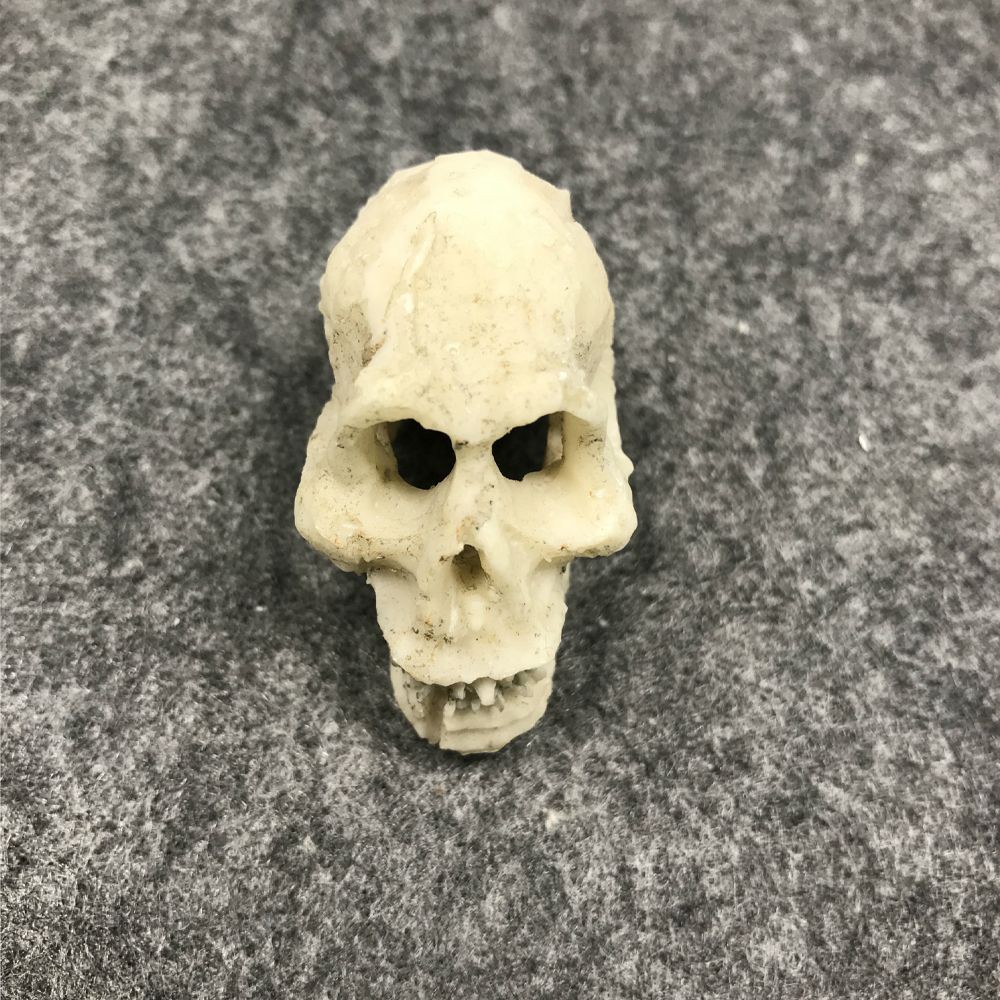 Mô hình đầu lâu nhựa trang trí bể cá cảnh